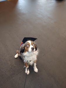 High Expectations Dog Training place picture