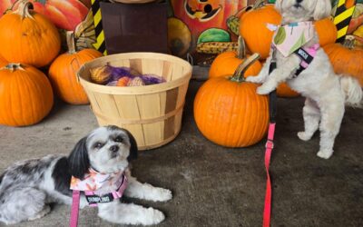 October Newsletter