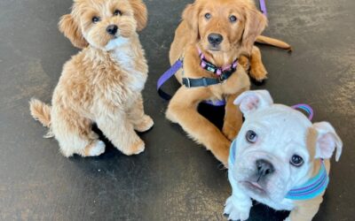 September Newsletter
